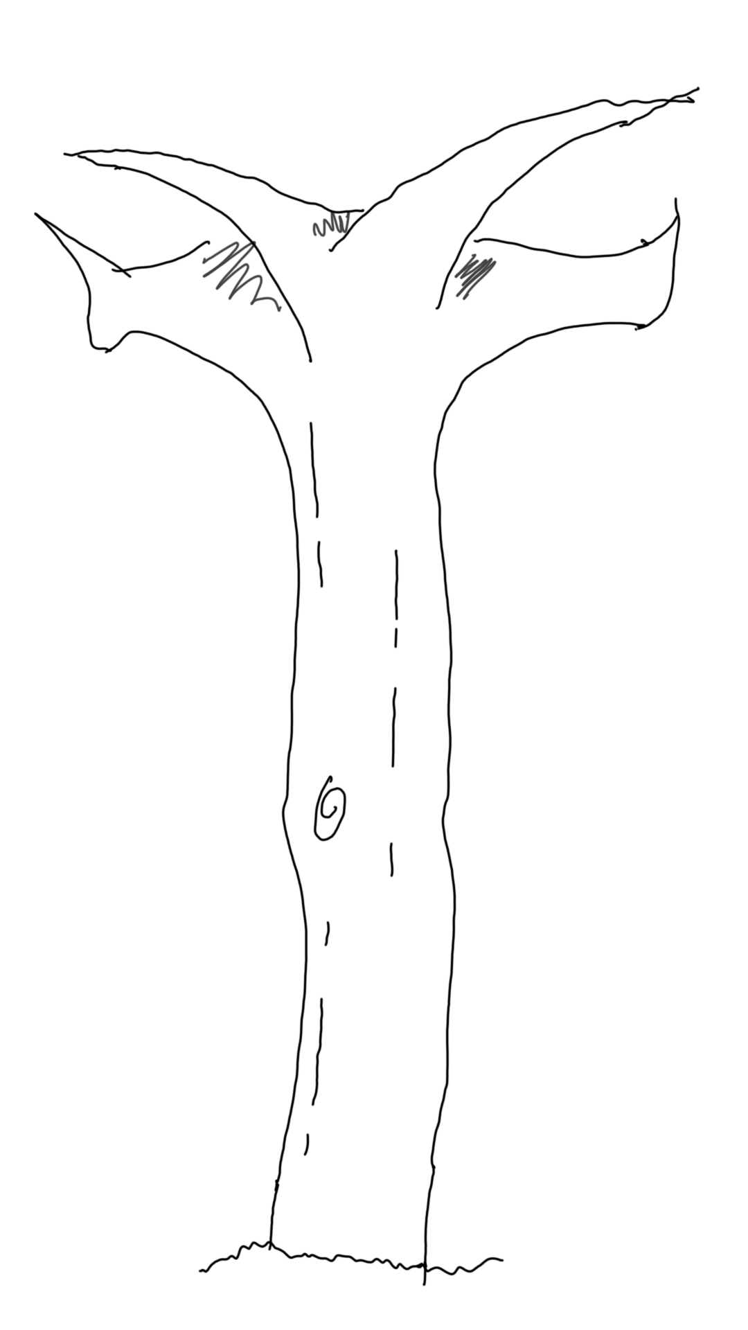 A barren tree